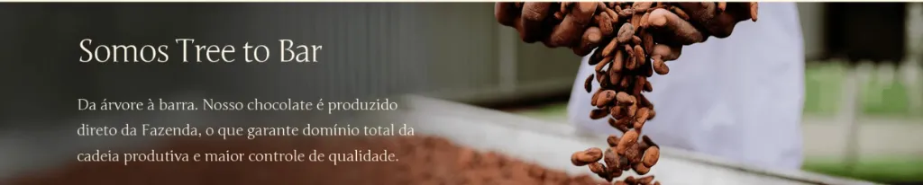 Mãos segurando amêndoas de cacau secas